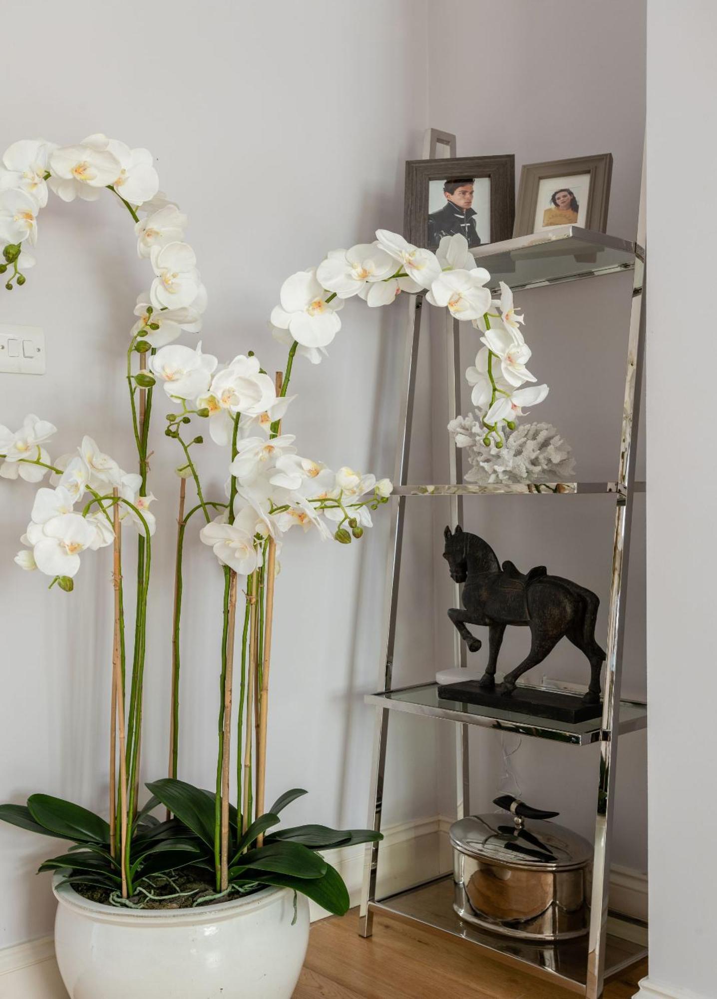 The Chelsea By Hok Living *